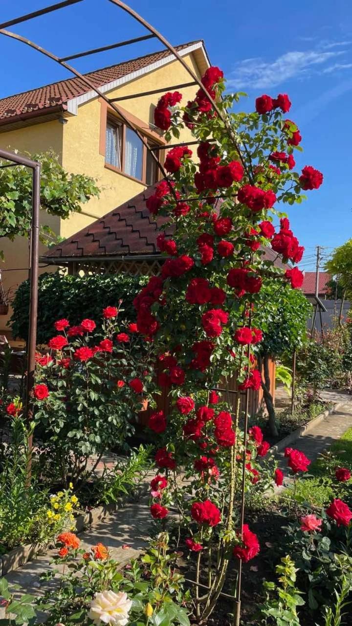 Квітковий Двір Golubinoye Exterior foto