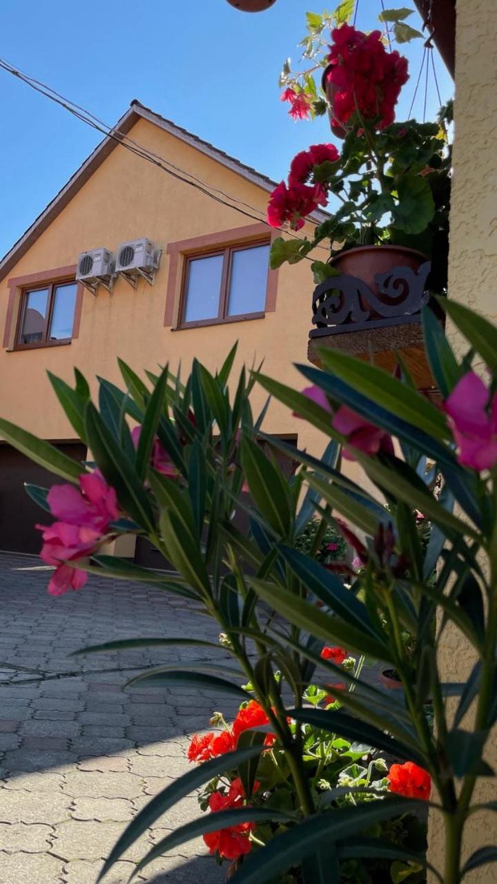 Квітковий Двір Golubinoye Exterior foto