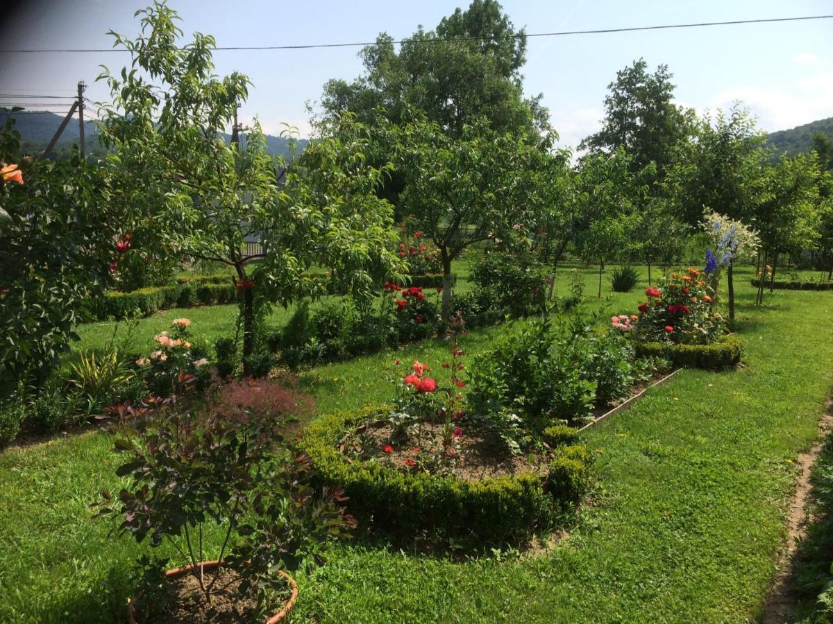 Квітковий Двір Golubinoye Exterior foto